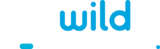 wild-tornado-casino-logo
